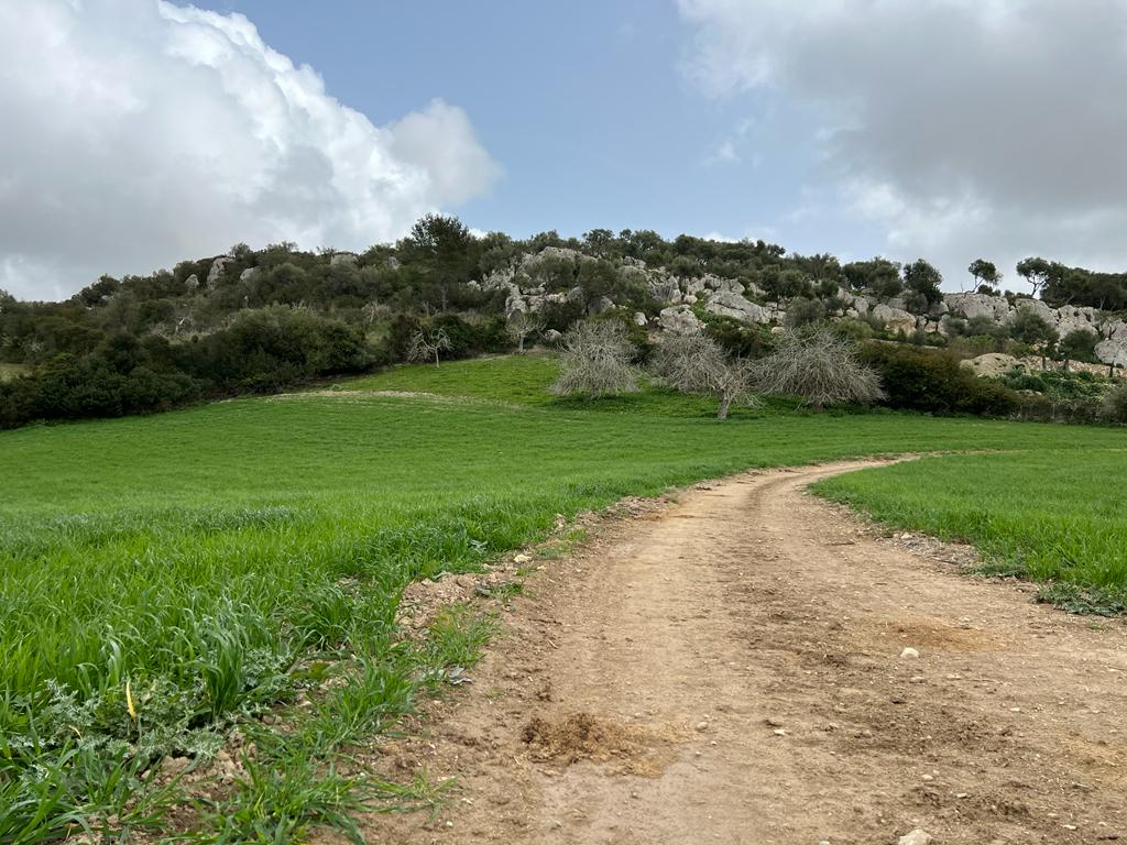 Plot at Sant Llorenc de Cardassar