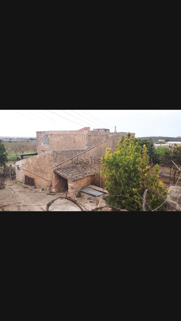 Granja - Finca Palma